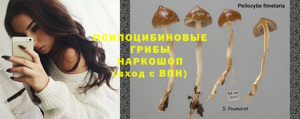 герыч Корсаков