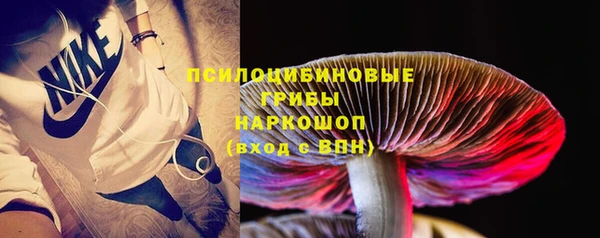 ПСИЛОЦИБИНОВЫЕ ГРИБЫ Карталы